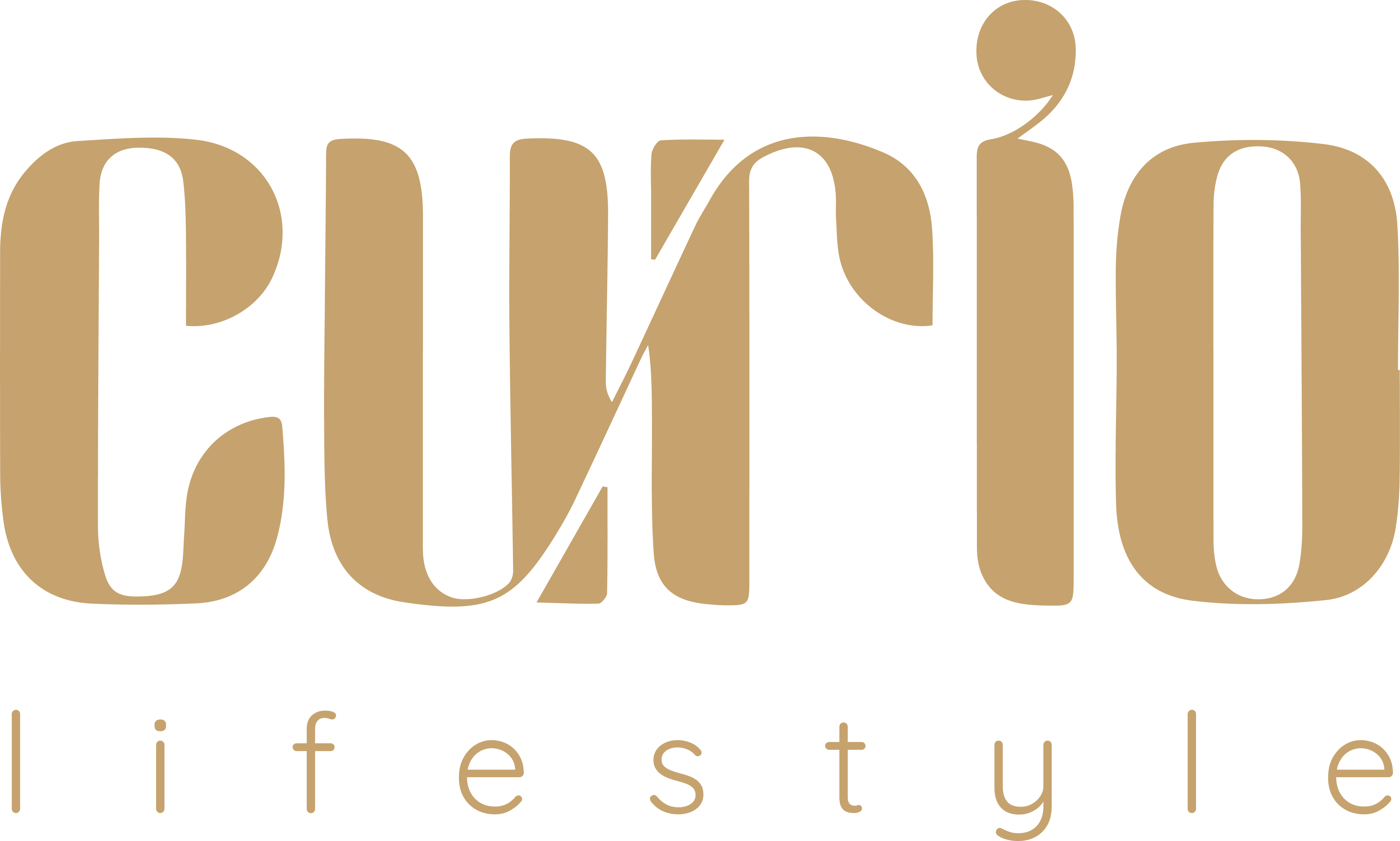 curio lifestyle